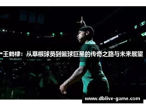 王鹤棣：从草根球员到篮球巨星的传奇之路与未来展望